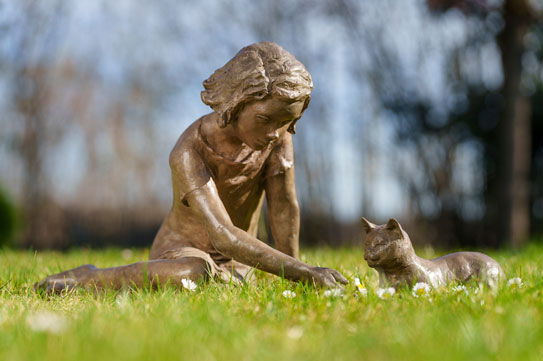 Le chat