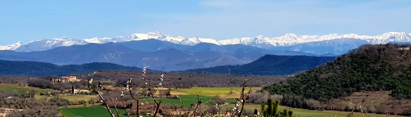 Bed & Breakfast - L'Olivette